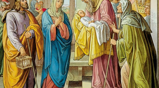 02.02.2017 - OMELIA DELLA FESTA DELLA PRESENTAZIONE DI GESÙ AL TEMPIO (CANDELORA)