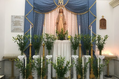 NOVENA E SOLENNITÀ DELL'IMMACOLATA CONCEZIONE
