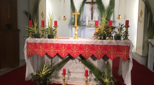 25.3.2018 S. MESSA DELLA DOMENICA DELLE PALME