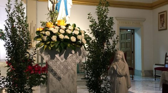 2019 11.2 FESTA DI N. S. DI LOURDES- GIORNATA DEL MALATO-UNZIONE INFERMI