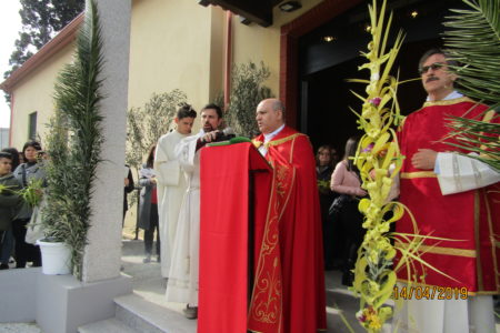 2019  14.4 FOTO DELLA DOMENICA DELLE PALME