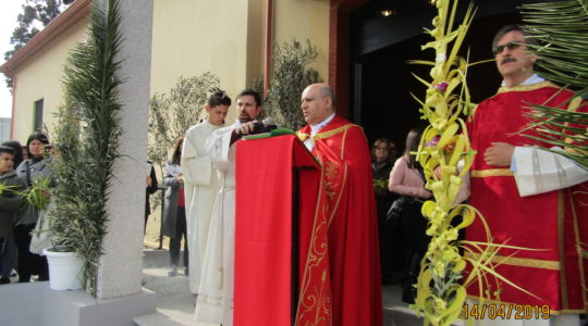 2019  14.4 FOTO DELLA DOMENICA DELLE PALME