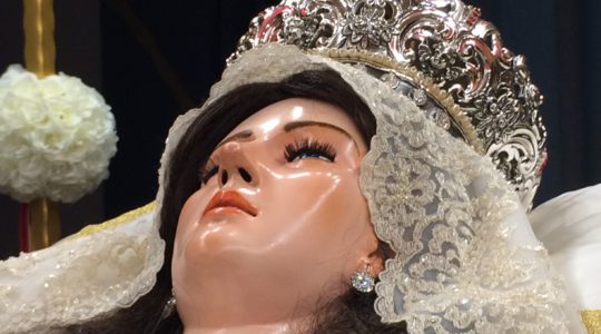 2019 OMELIE  TRIDUO  E FESTA DELLA MADONNA ASSUNTA